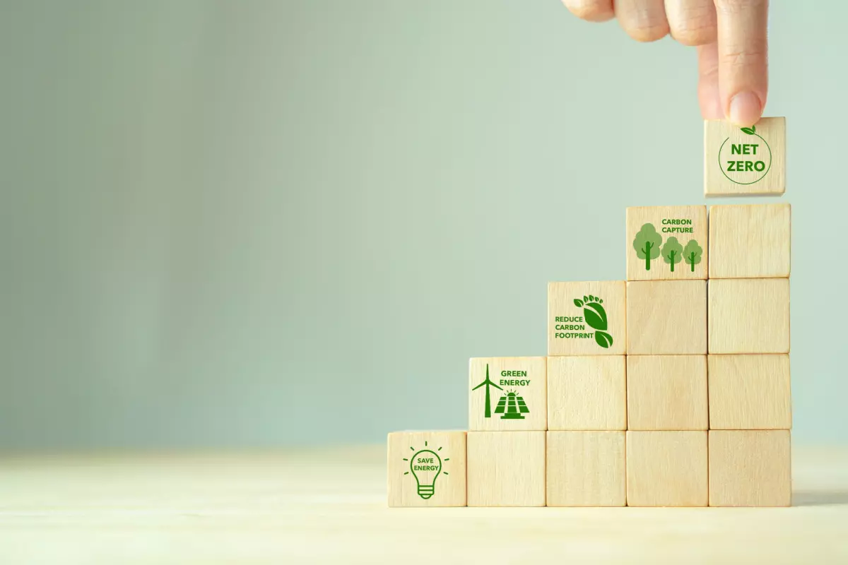 Net zero wooden blocks