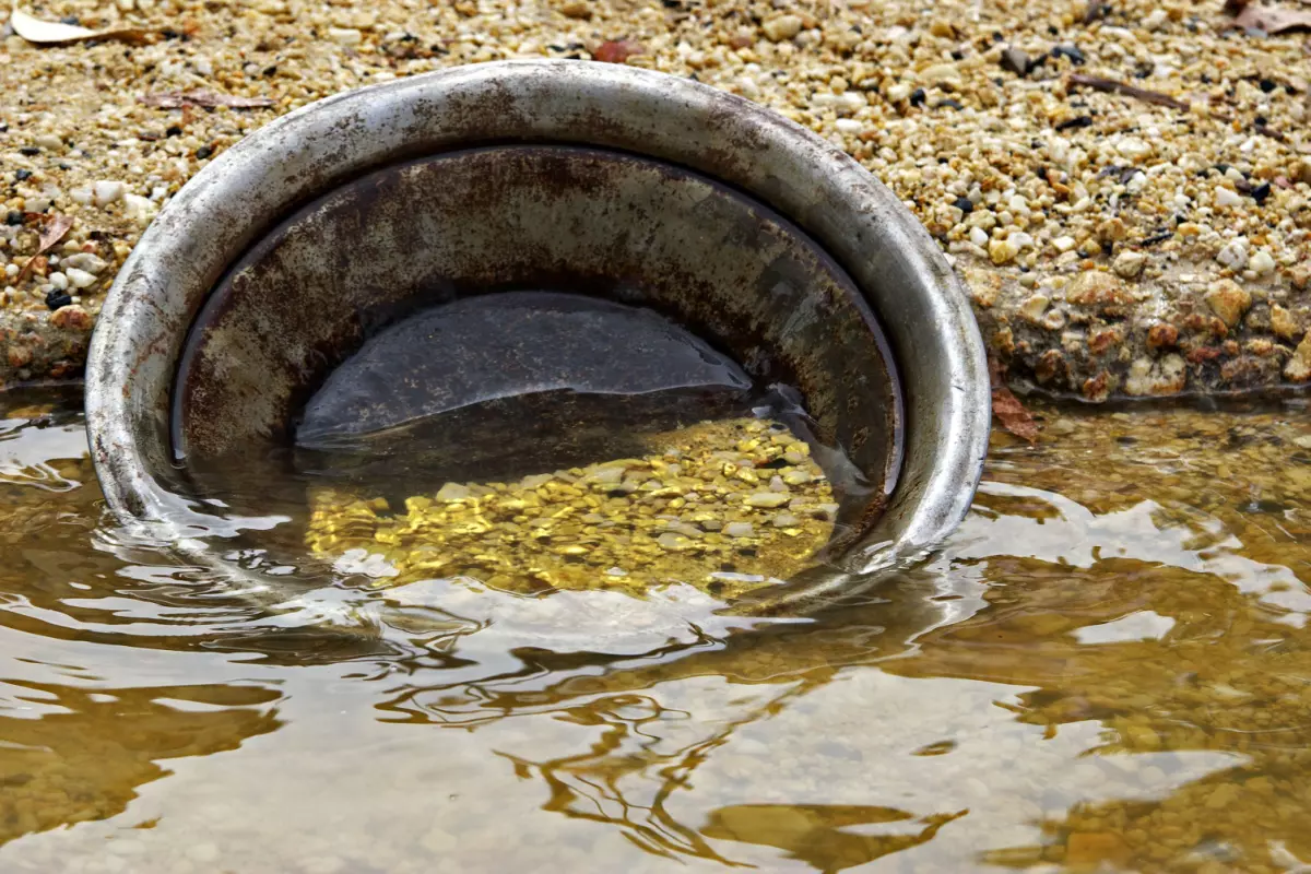 Gold nuggets panned from river